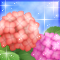 紫陽花-r
