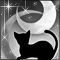 月夜猫-a