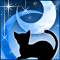 月夜猫-b