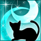 月夜猫-c