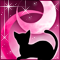 月夜猫-m