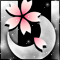 春月桜-a