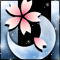 春月桜-b