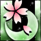 春月桜-g
