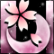 春月桜-m