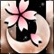 春月桜-o