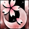 春月桜-r