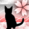 淡桜猫-r