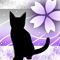 淡桜猫-v