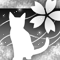 淡桜猫-a
