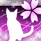 淡桜猫-p