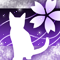 淡桜猫-v