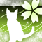 淡桜猫-yg