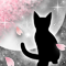 春夜ノ猫-a