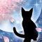 春夜ノ猫-b