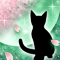 春夜ノ猫-e