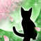 春夜ノ猫-g