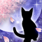 春夜ノ猫-l