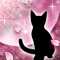 春夜ノ猫-m
