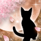 春夜ノ猫-o