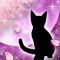 春夜ノ猫-p