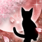 春夜ノ猫-r