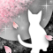 春夜ノ猫-a