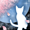 春夜ノ猫-b
