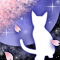 春夜ノ猫-l