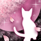 春夜ノ猫-m