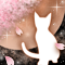 春夜ノ猫-o