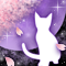春夜ノ猫-v