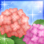 紫陽花-r