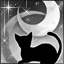 月夜猫-a