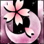 春月桜-m