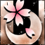 春月桜-o