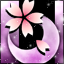 春月桜-p
