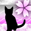 淡桜猫-p