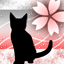 淡桜猫-r