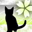 淡桜猫-yg