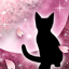春夜ノ猫-m