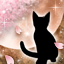 春夜ノ猫-o