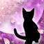 春夜ノ猫-p