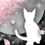 春夜ノ猫-a