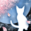 春夜ノ猫-b