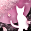 春夜ノ猫-m